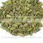 Indian Green Cardamom for South American market