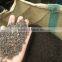 VIETNAM BLACK PEPPER FAQ/HIGH QUALITY
