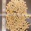 BLANCHED PEANUT KERNEL 40/50 INDIAN SUPPLIER