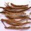 Top Quality Baicalin from Scutellaria Baicalensis Extract