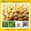 GMP Factory supply Soy Isoflavones / Soybean Extract