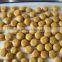 china canned champignon mushroom p&s fresh canned champignon champignon button mushroom