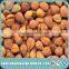 Organic Bitter Apricot Kernel / Apricot Kernel nut / Apricot Kernel