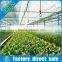 New Style Low Cost Agricultural Multi Span Greenhouse