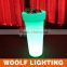 Amazing Color LED Furniture Decorative Flower Pot Lighting