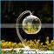Clear Hanging Hanging 4 Inch Round Ball Air Plant Terrarium Globe