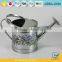 Galvanized Stickers Water Garden for Flowers Best Watering Can
