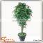 Guangzhou Supplier Artificial Ficus Tree Home Decoration Artificial Ficus Tree