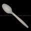 biodegradable disposable spoon