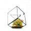 geometric glass terrarium wholesale terrarium glass