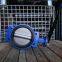 Marine Semi-lug Butterfly Valve DN100 With Lever