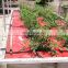 plastic red mulch film for strawberry tomato melon