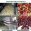 20KW Soybean Microwave Tunnel Dryer machine for sale