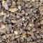 Factory Price Premium Quality Chinese Wild Dried Morel Mushroom Whole without fully stem (1-3CM)