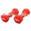 Workout Dumbbells Custom Color Plastic Coated Small Dumbbell Dip Plastic Dumbbells