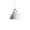 Modern Hanging Metal Halide Lighting Chandelier Metal Pendant Lamp