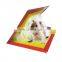 Rat Trap Glue Boards Reusable Catch Mouse Rat Glue Pest Control Cardboard Rat Glue Board