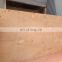 Commercial Plywood 1220*2440*18mm Exterior Plywood 3mm Plywood