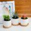 Flower Pots Owl Small Ceramic Factories Directly New Design Cheap Mini Cute Nursery Animal Succulent Plants, Small Plants White