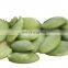Chinese Organic Grade AA pumpkin Seeds Pumpkin kernel Snow White Shine Skin pumpkin nuts for Sale