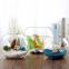 Ecological Turtle Cylinder Aquarium Glass Fish Tank Vase Air Plants Sand and Pebbles Small Glass Terrariums For Plants