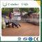 Good package wood plastic composite timber WPC board floor