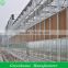 Large Glass Used Commercial Greenhouse with Cooling System