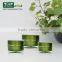 high-end upper grade acrylic cream jar purple , cosmetic jar , facial container 15g