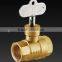 Check Valve With Lock