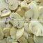 Canned Mushroom Top Quality