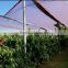 plastic covers for table grapes reinforced films