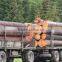 RUSSIAN Timber Log / Sawlogs /Wood round logs / lumber /PINE / SPRUCE / LARCH / BIRCH