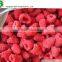 IQF Frozen Raspberry crumble with good price