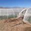 greenhouse film 200 microns 2015 greenhouse film 200 microns with low price