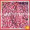 Iqf Frozen Organic Wild Lingonberry Berry Fruit