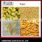 Extruded Crispy Fried Flour Chips Process Line
