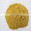 High quality standard mustard powder