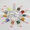 Automotive Car Fuse Auto Fuse/Mini ATC Car Fuse