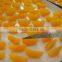canned orange & mandarin orange in syrup/canned food