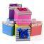 Christmas Apple Transparent Paper Gift Box