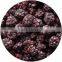 IQF Blackberry with good quality for sale