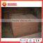 China Sandstone Slabs for Sale