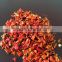 2016 new crop of dried sweet paprika 3x3 6x6 9x9mm