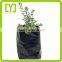 2016 Yiwu Customized High Quality Plastic Ldpe Black Plant Pot Bag