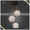 2015 new design indoor hanging light modern home glass pendant lighting