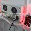 lipo laser dual wavelength 650nm 980nm lipo laser/lipo laser machine fda approved