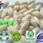 shandong factory bulk sale long type blanched peanut kernel