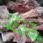 small capacity bone breaking machine/bone crushing machine/bone grinding machine