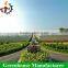 High quality commercial plastic greenhouse
