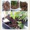 8-16mm Expanded Clay for Hydroponic/Aquaponics/Decoration